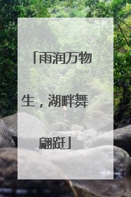 雨润万物生，湖畔舞翩跹
