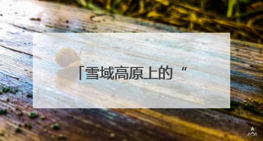 雪域高原上的“枫桥灯塔”：青海吉迈派出所书写新时代警务答卷