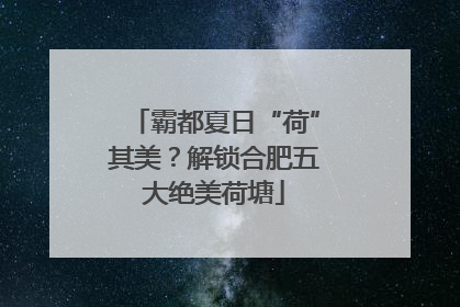 霸都夏日“荷”其美？解锁合肥五大绝美荷塘
