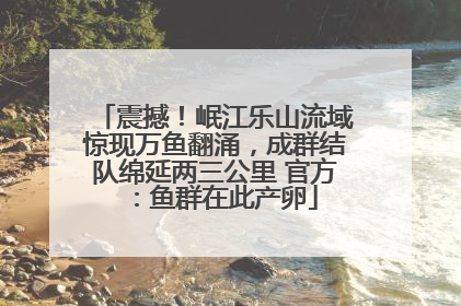 震撼！岷江乐山流域惊现万鱼翻涌，成群结队绵延两三公里 官方：鱼群在此产卵
