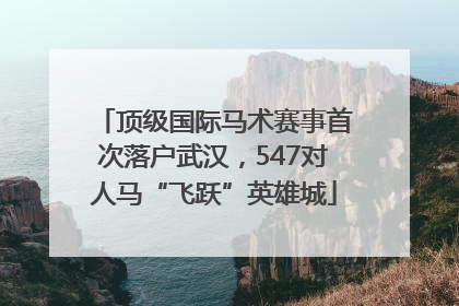 顶级国际马术赛事首次落户武汉，547对人马“飞跃”英雄城