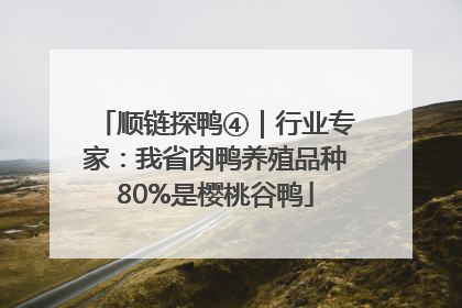 顺链探鸭④｜行业专家：我省肉鸭养殖品种80%是樱桃谷鸭
