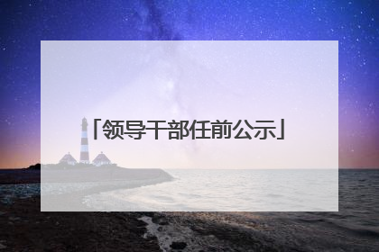 领导干部任前公示
