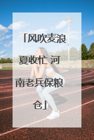 风吹麦浪夏收忙 河南老兵保粮仓