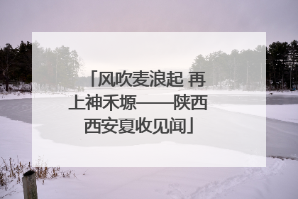 风吹麦浪起 再上神禾塬——陕西西安夏收见闻