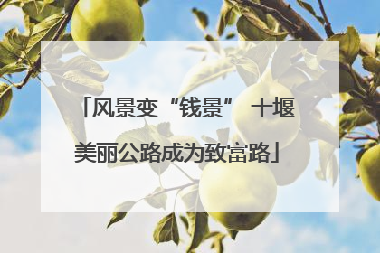 风景变“钱景” 十堰美丽公路成为致富路