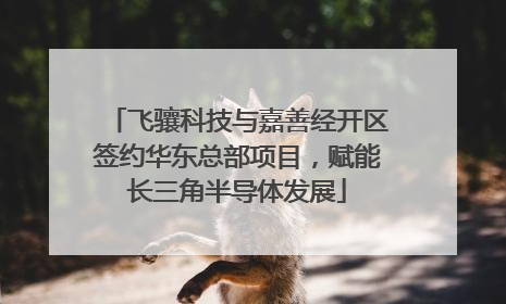 飞骧科技与嘉善经开区签约华东总部项目，赋能长三角半导体发展