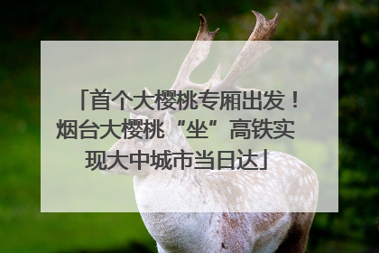 首个大樱桃专厢出发！烟台大樱桃“坐”高铁实现大中城市当日达