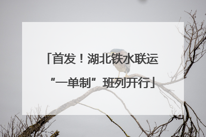 首发！湖北铁水联运“一单制”班列开行