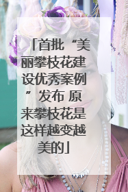首批“美丽攀枝花建设优秀案例”发布 原来攀枝花是这样越变越美的