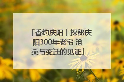 香约庆阳丨探秘庆阳300年老宅 沧桑与变迁的见证