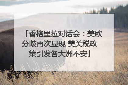香格里拉对话会：美欧分歧再次显现 美关税政策引发各大洲不安
