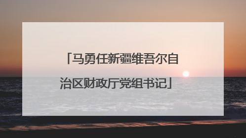 马勇任新疆维吾尔自治区财政厅党组书记