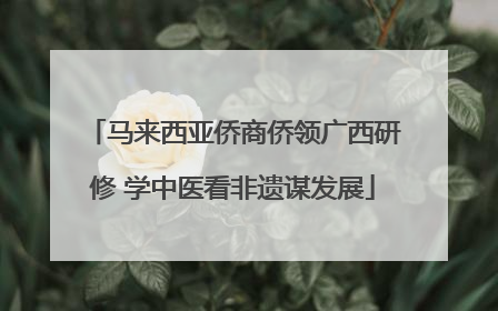 马来西亚侨商侨领广西研修 学中医看非遗谋发展