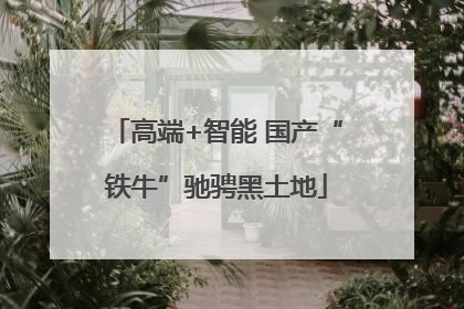 高端+智能 国产“铁牛”驰骋黑土地