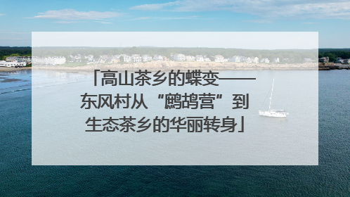 高山茶乡的蝶变——东风村从“鹧鸪营”到生态茶乡的华丽转身