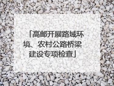 高邮开展路域环境、农村公路桥梁建设专项检查