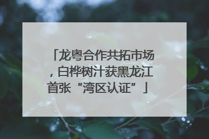 龙粤合作共拓市场，白桦树汁获黑龙江首张“湾区认证”