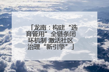 龙南：构建“选育管用”全链条闭环机制 激活社区治理“新引擎”