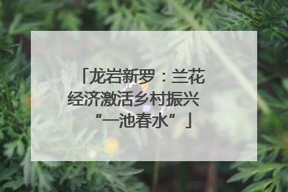 龙岩新罗：兰花经济激活乡村振兴“一池春水”