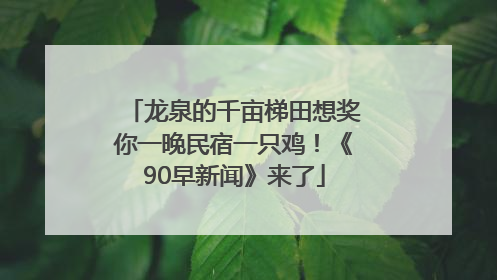 龙泉的千亩梯田想奖你一晚民宿一只鸡！《90早新闻》来了