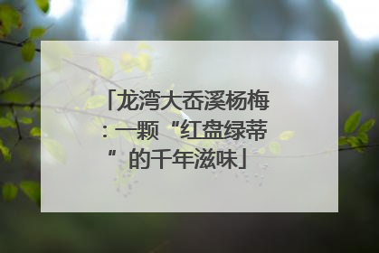 龙湾大岙溪杨梅：一颗“红盘绿蒂”的千年滋味
