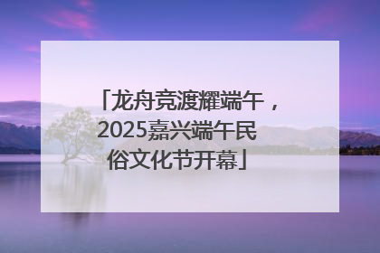 龙舟竞渡耀端午，2025嘉兴端午民俗文化节开幕