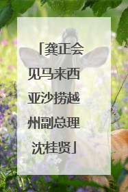 龚正会见马来西亚沙捞越州副总理沈桂贤