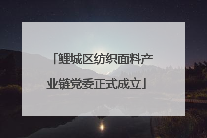 鲤城区纺织面料产业链党委正式成立