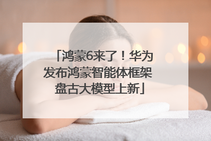 鸿蒙6来了！华为发布鸿蒙智能体框架 盘古大模型上新