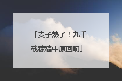 麦子熟了！九千载稼穑中原回响