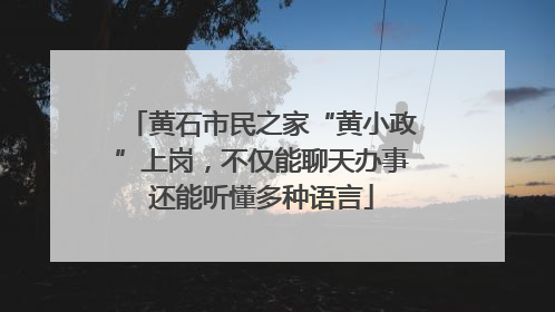 黄石市民之家“黄小政”上岗，不仅能聊天办事还能听懂多种语言