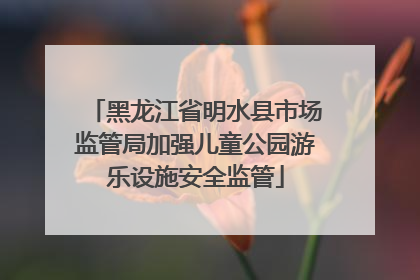 黑龙江省明水县市场监管局加强儿童公园游乐设施安全监管