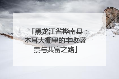 黑龙江省桦南县：木耳大棚里的丰收盛景与共富之路