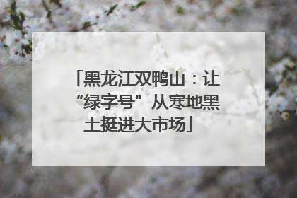 黑龙江双鸭山：让“绿字号”从寒地黑土挺进大市场