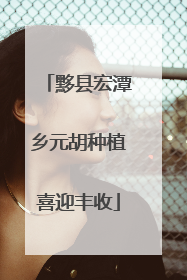 黟县宏潭乡元胡种植喜迎丰收
