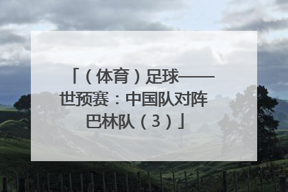 （体育）足球——世预赛：中国队对阵巴林队（3）