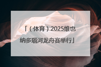 （体育）2025维也纳多瑙河龙舟赛举行
