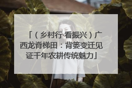 （乡村行·看振兴）广西龙脊梯田：背篓变迁见证千年农耕传统魅力