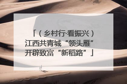 （乡村行·看振兴）江西共青城“领头雁”开辟致富“新稻路”