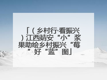 （乡村行·看振兴）江西靖安“小”浆果助绘乡村振兴“莓”好“蓝”图