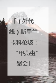 （外代一线）斯里兰卡科伦坡：“甲壳虫”聚会