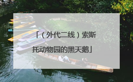 （外代二线）索斯托动物园的黑天鹅
