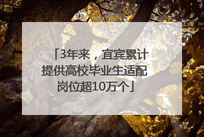 3年来，宜宾累计提供高校毕业生适配岗位超10万个