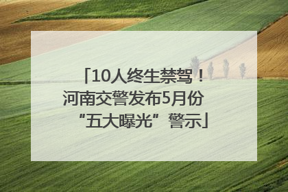 10人终生禁驾！河南交警发布5月份“五大曝光”警示