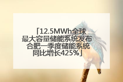 12.5MWh全球最大容量储能系统发布 合肥一季度储能系统同比增长425%