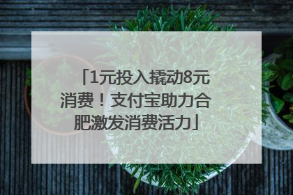 1元投入撬动8元消费！支付宝助力合肥激发消费活力