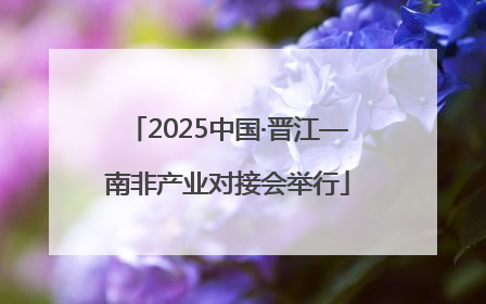 2025中国·晋江—南非产业对接会举行