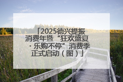 2025德兴提振消费年暨“狂欢盛夏・乐购不停”消费季正式启动（图）