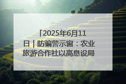 2025年6月11日｜防骗警示窗：农业旅游合作社以高息设局，集资380万